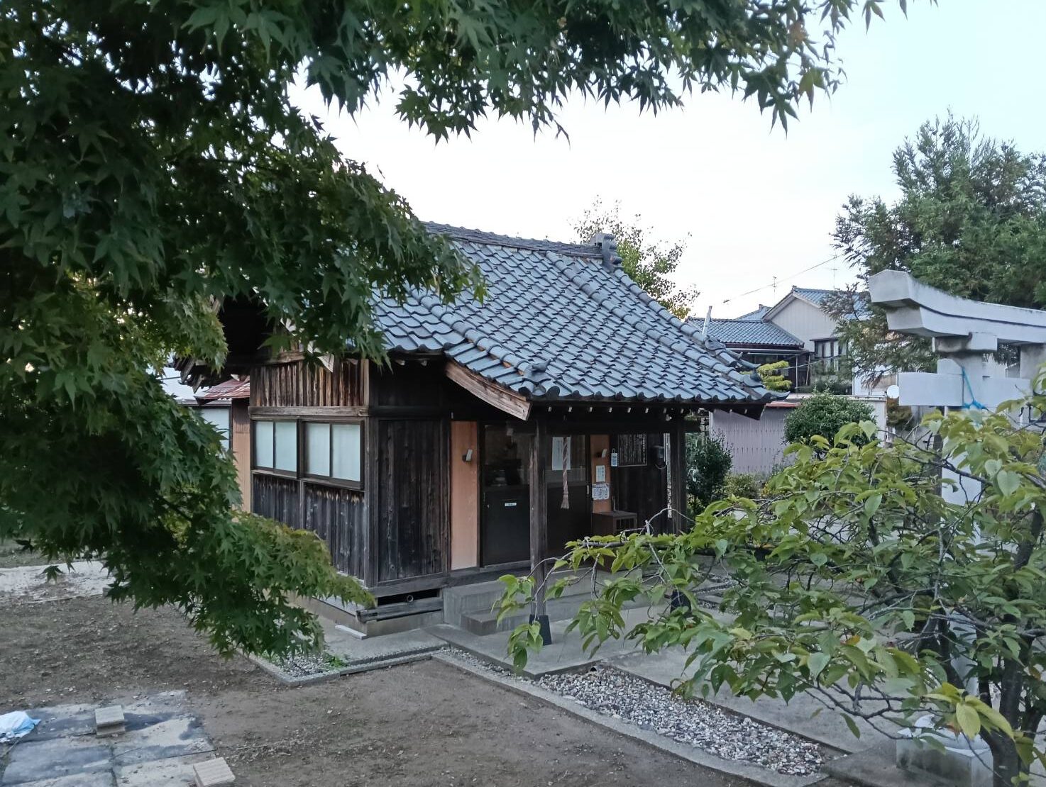金玉9月