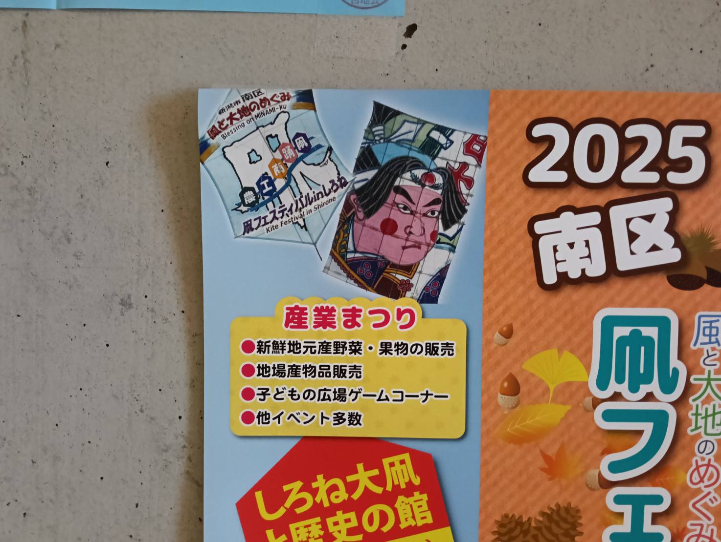 凧フェス２０２５