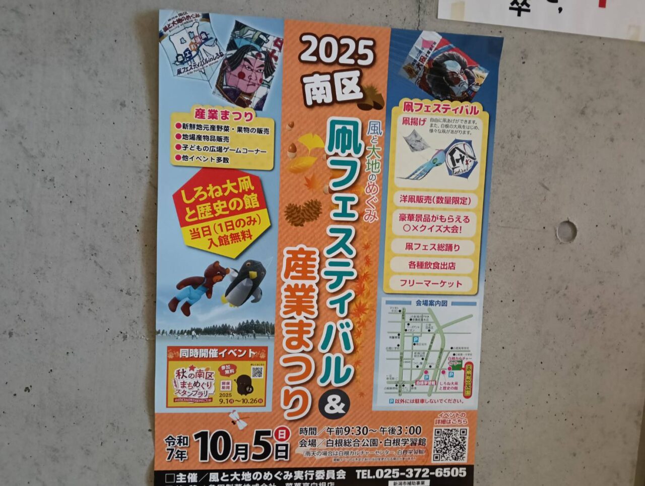 凧フェス２０２５