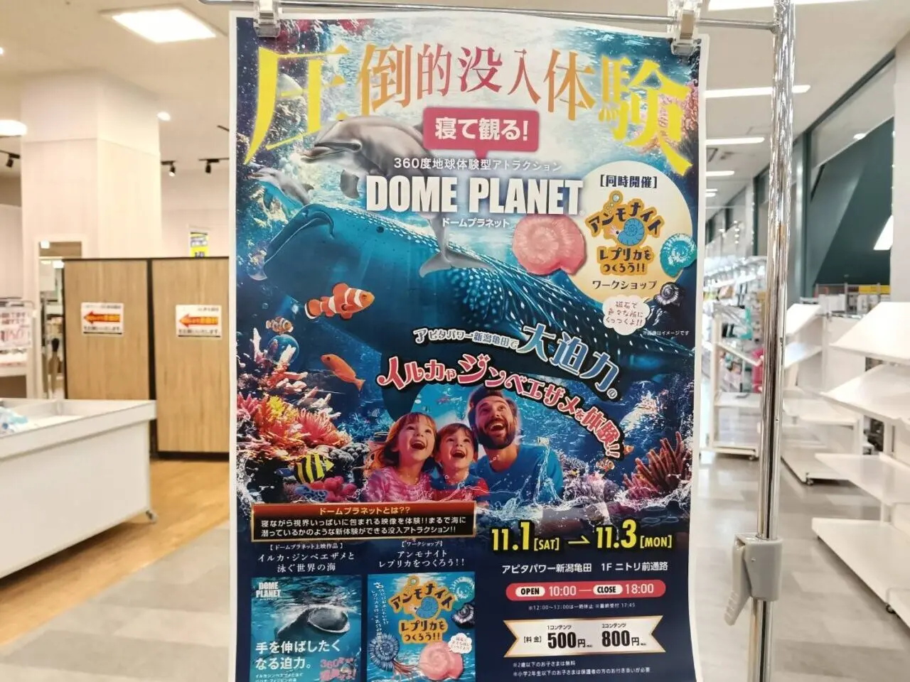 アピタイベント11