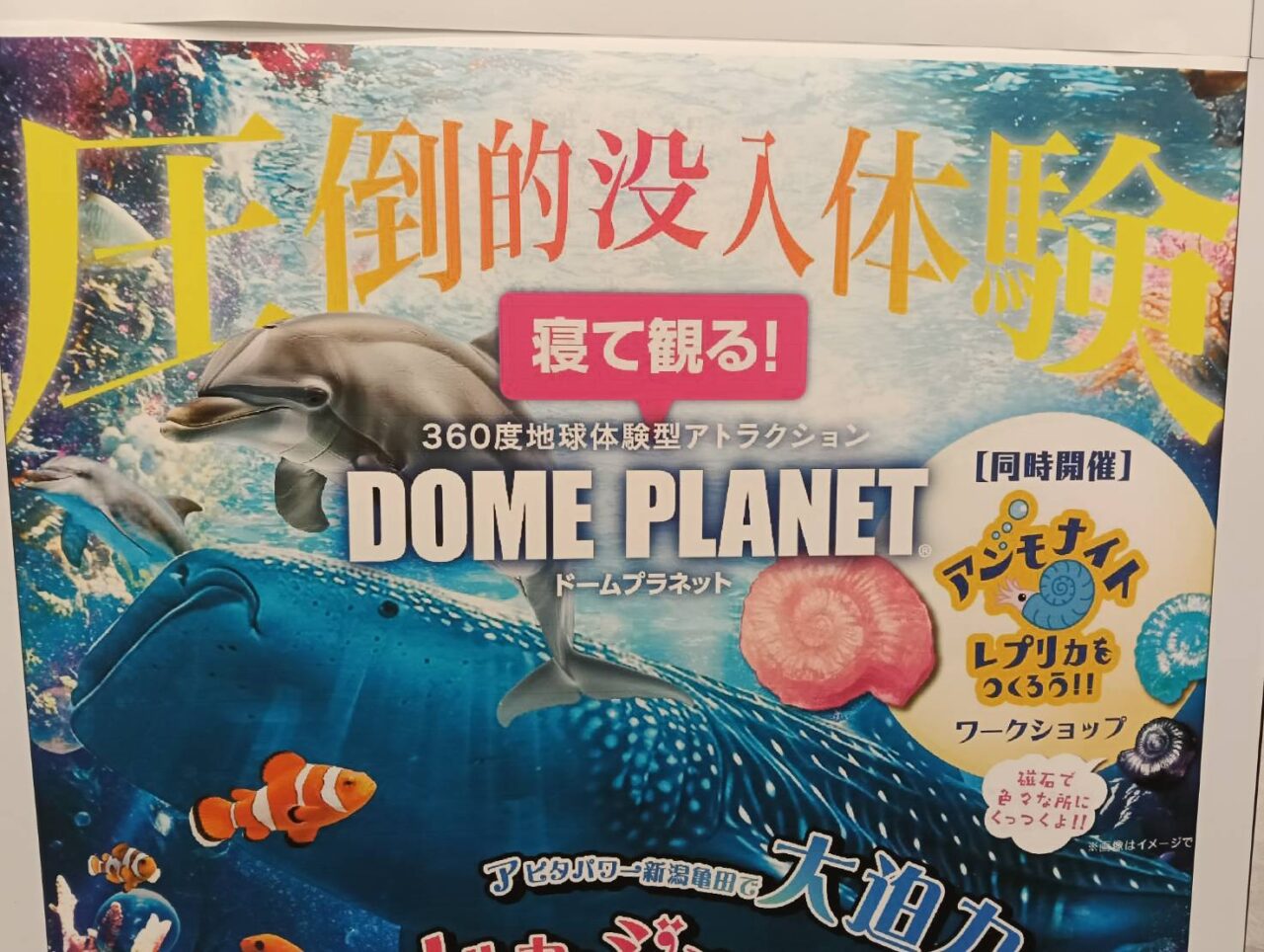アピタイベント11