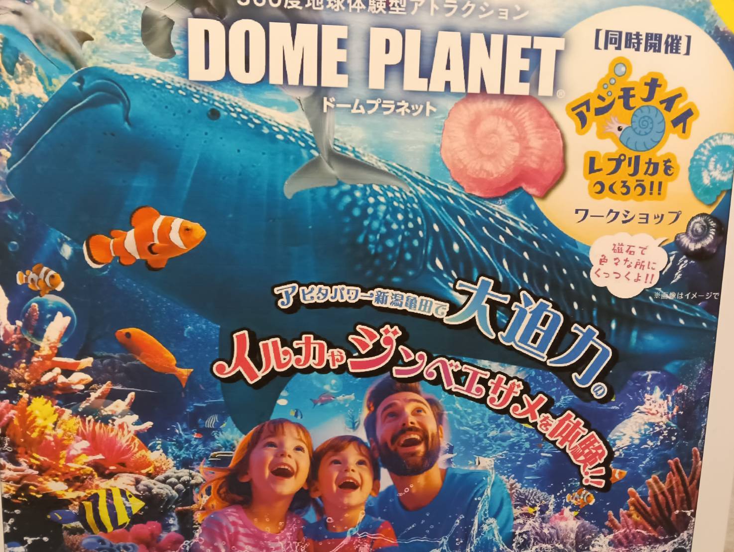アピタイベント11