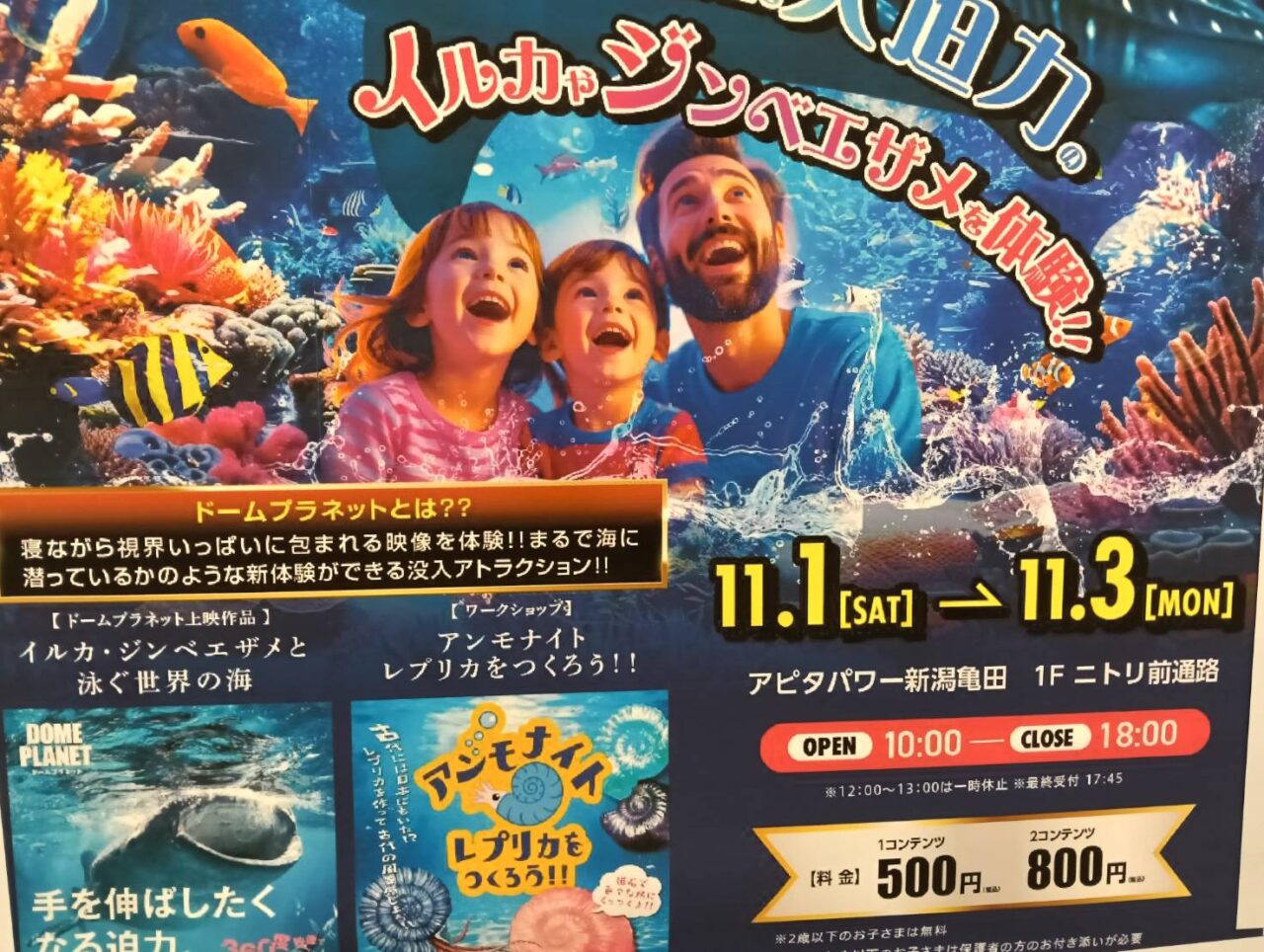 アピタイベント11