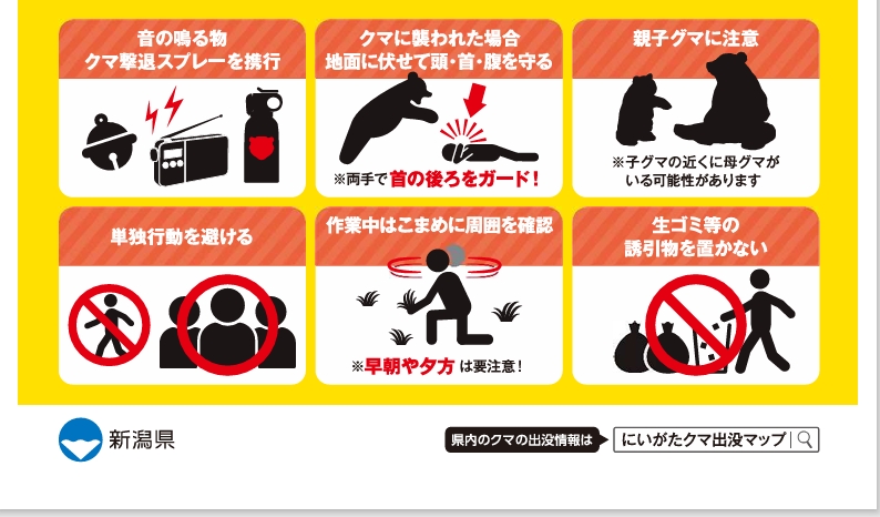 くま