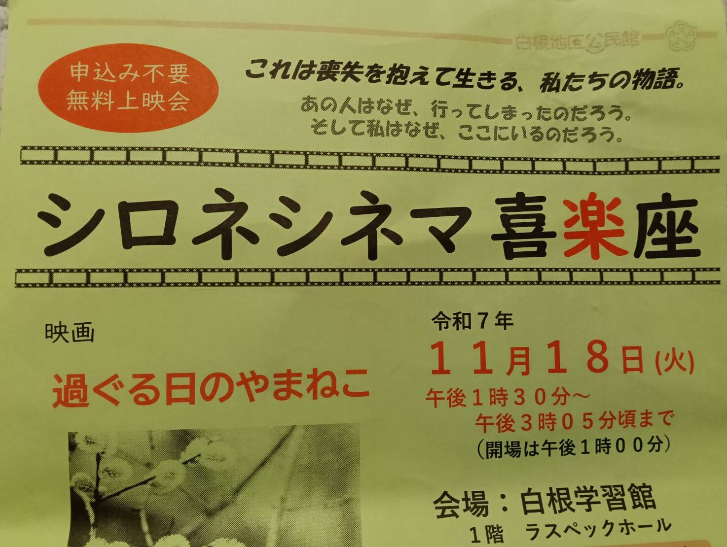 シロネシネマ１１