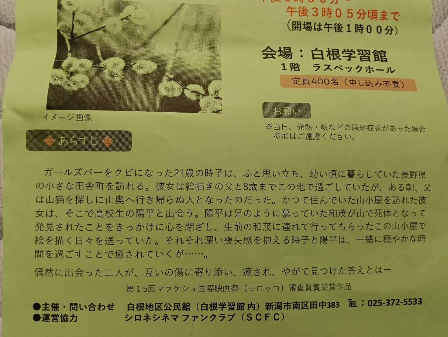 シロネシネマ１１