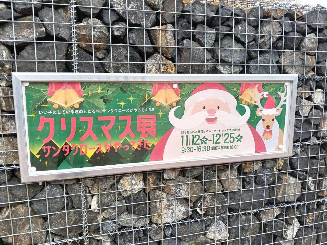 県立クリスマス