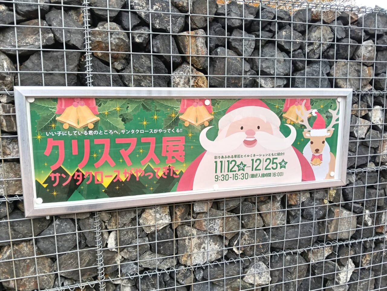 県立クリスマス
