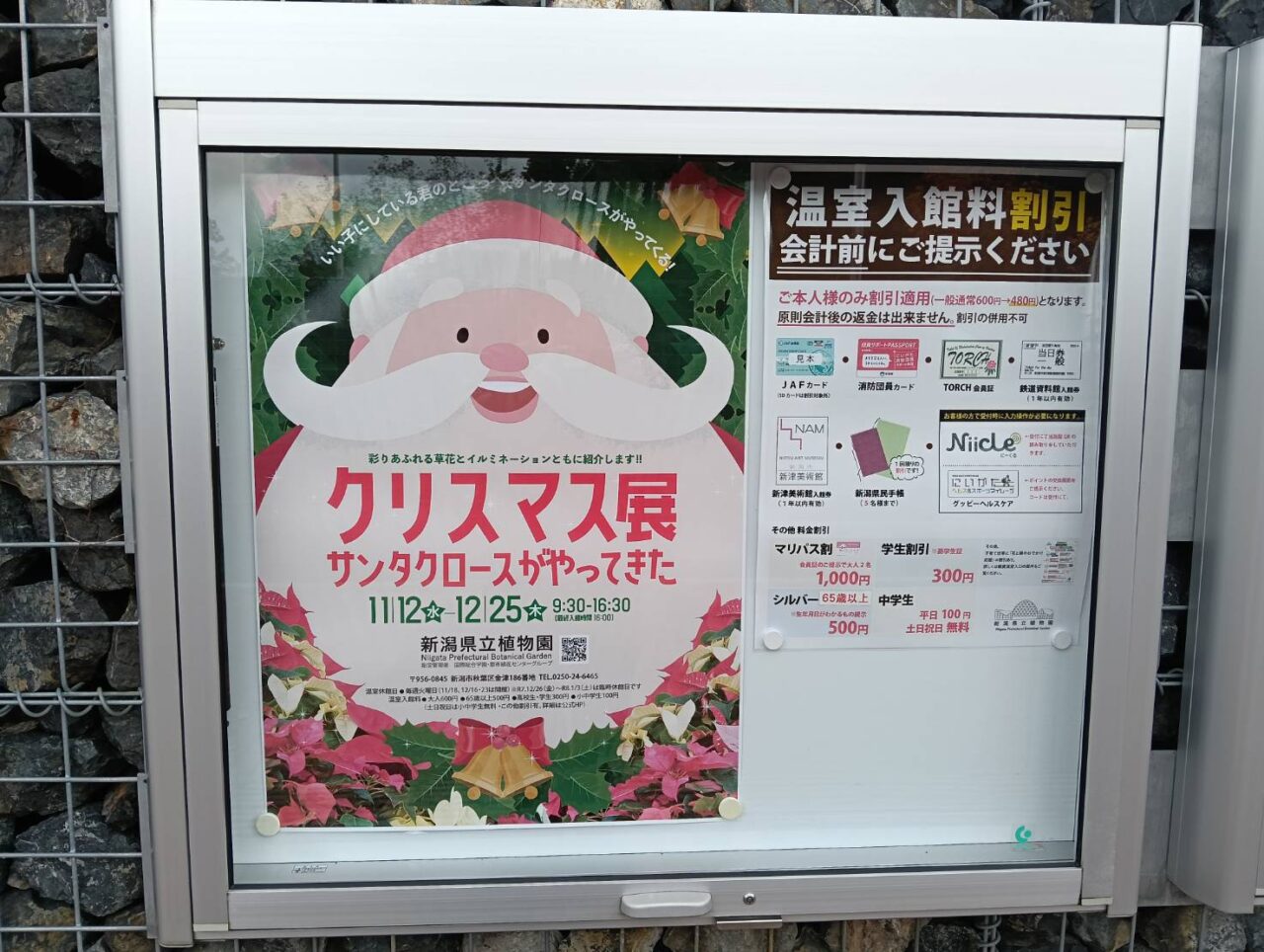 県立クリスマス