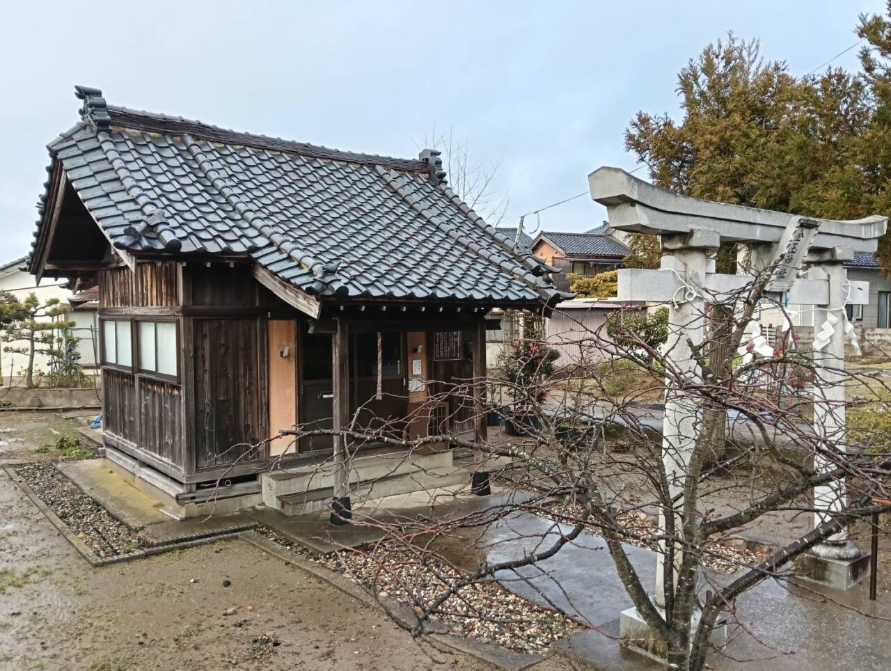 金玉２０２６０１