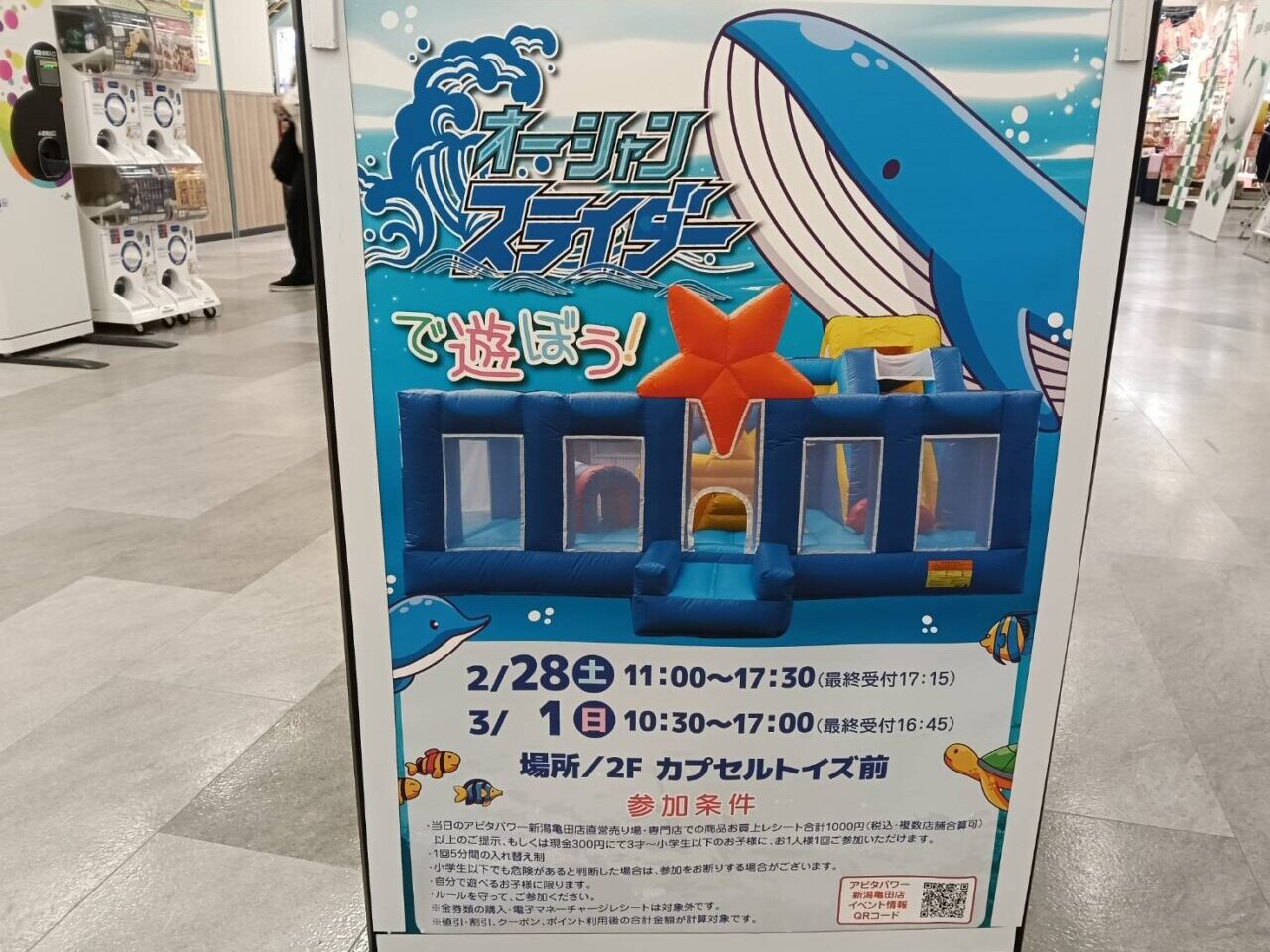 アピタ２６０３０１