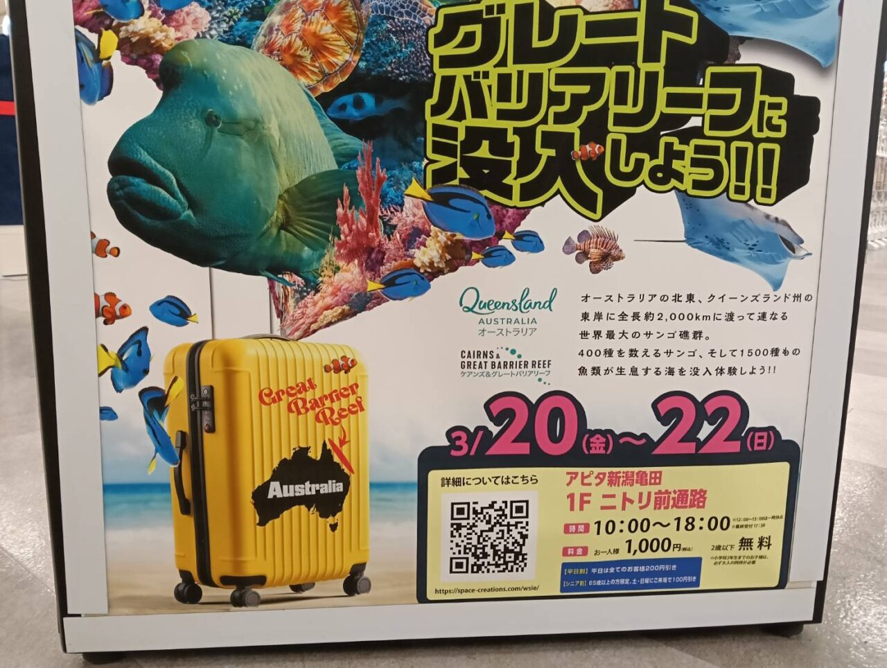 アピタ２６３連