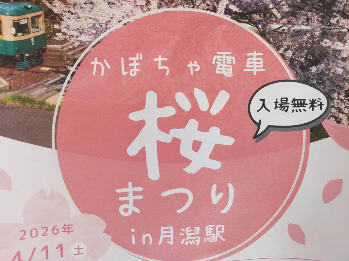 月潟桜２６０４