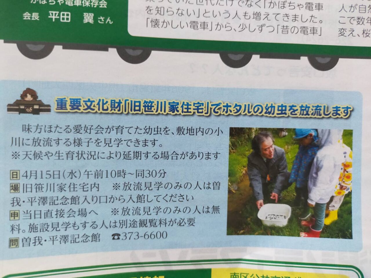 笹川ホタル２６０４