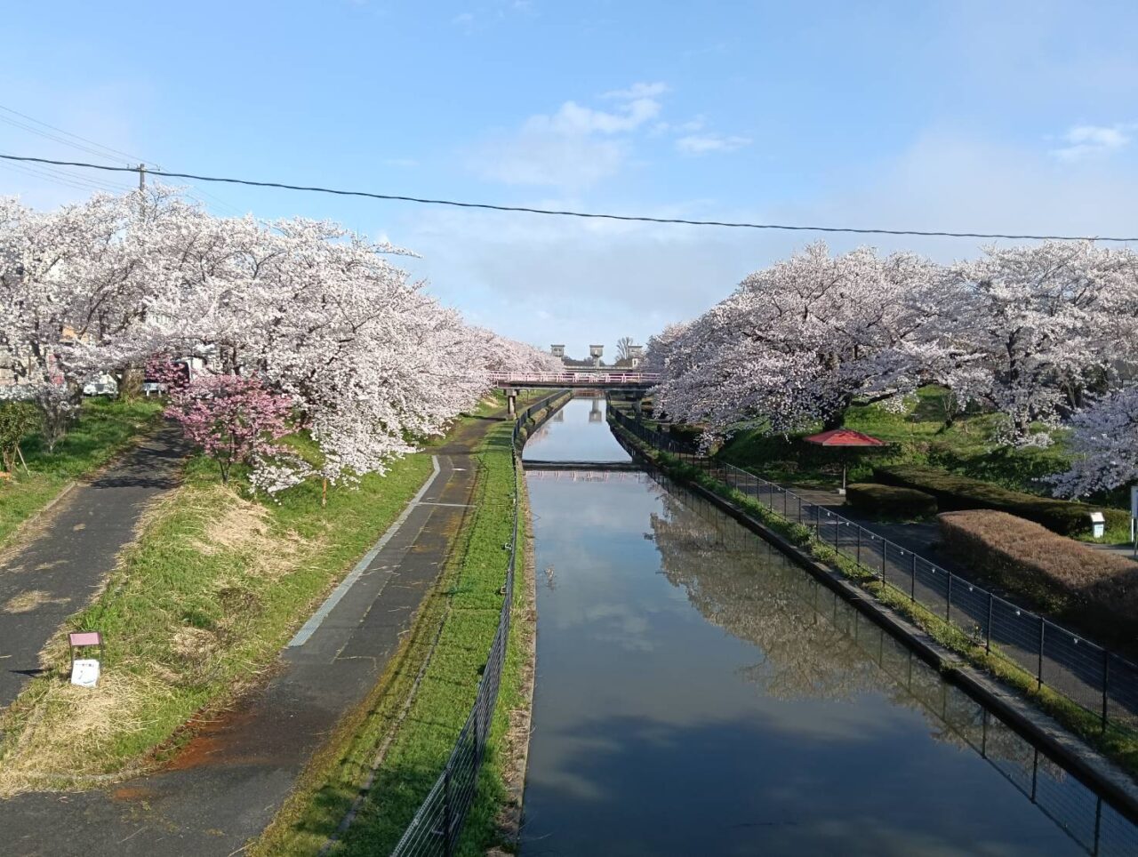 鷲ノ木２６０４