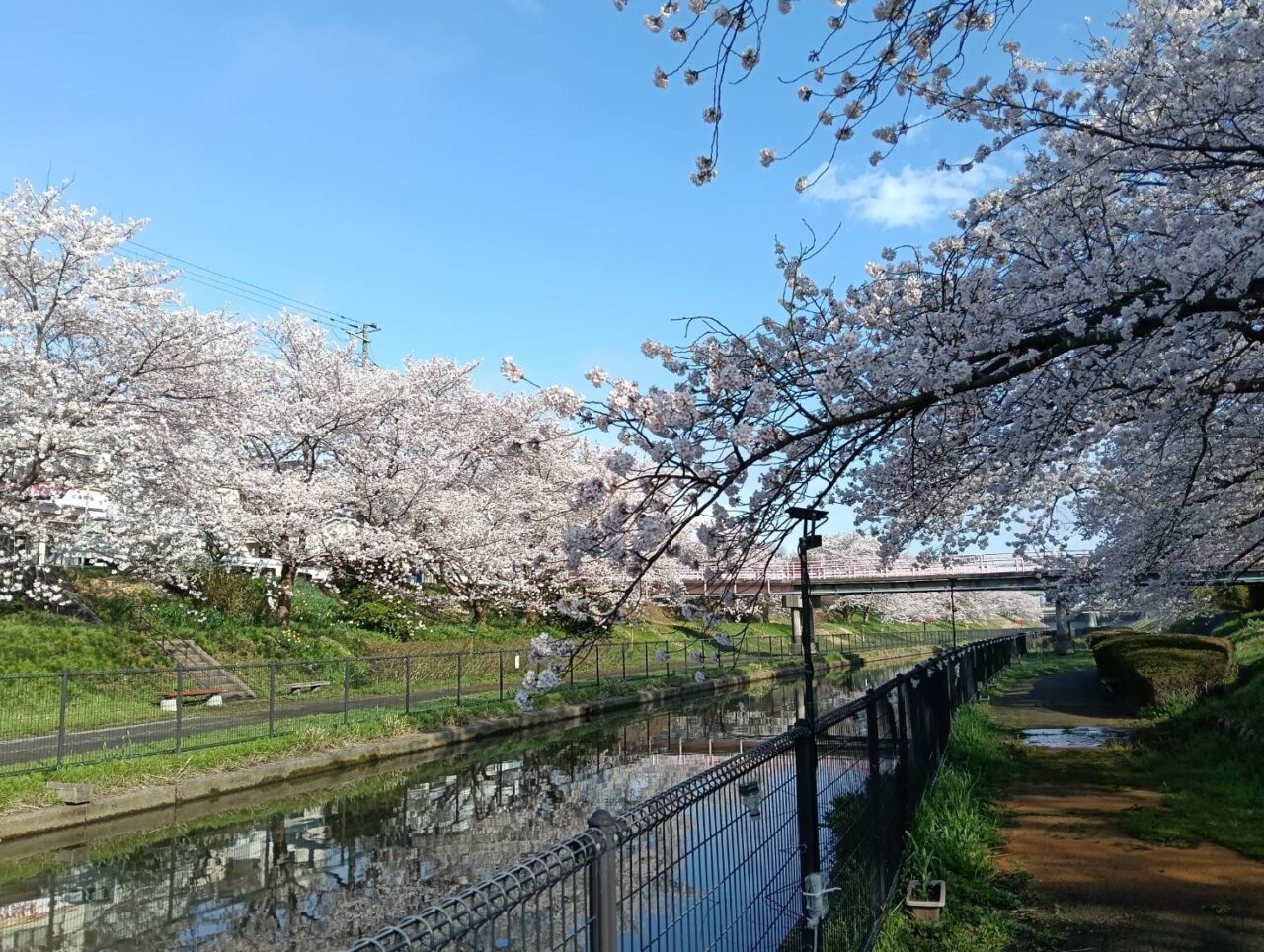 鷲ノ木２６０４