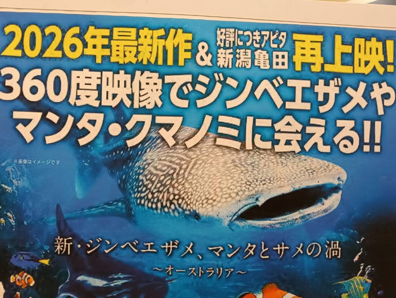 アピタ２６０４０４