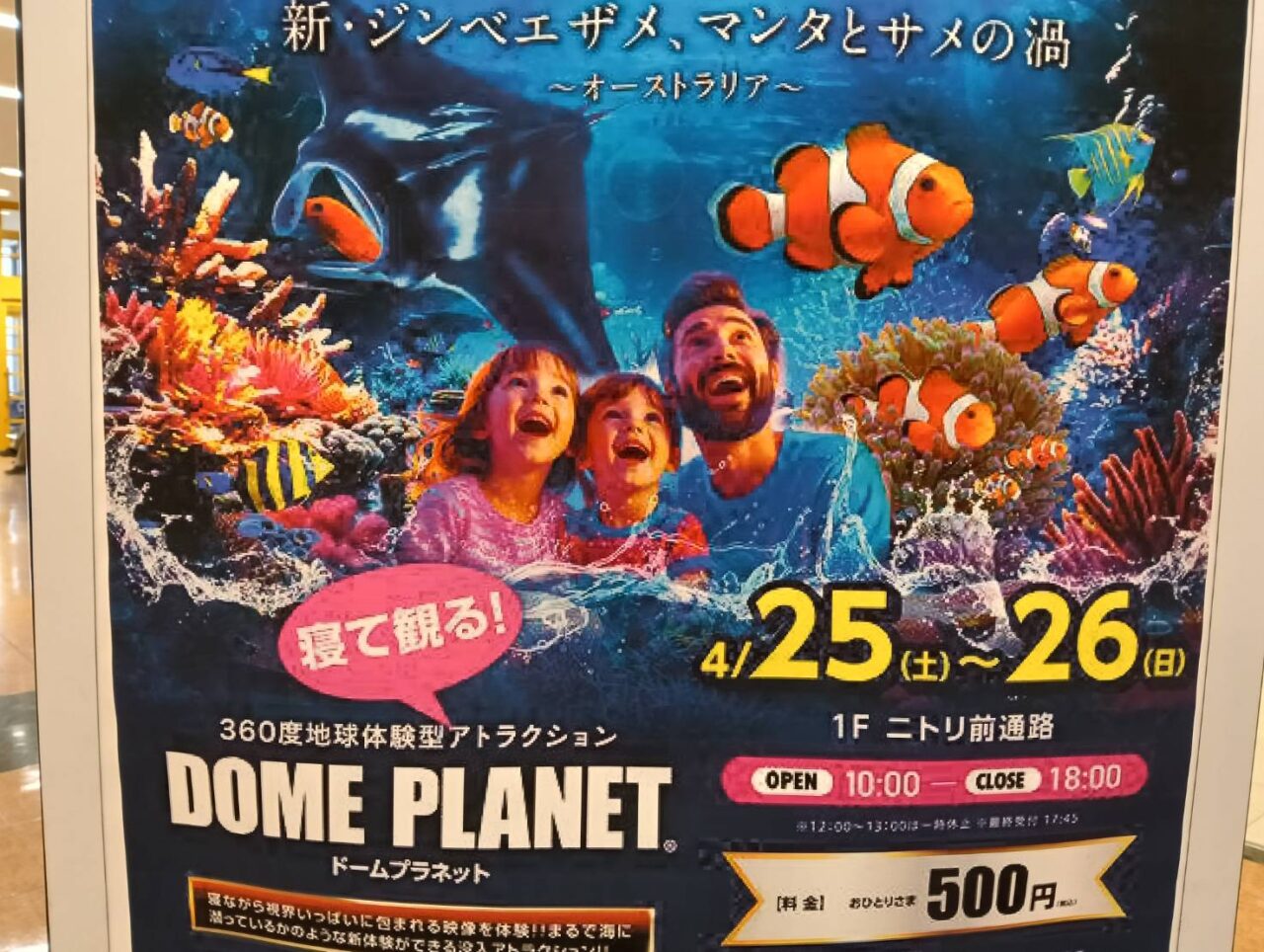 アピタ２６０４０４