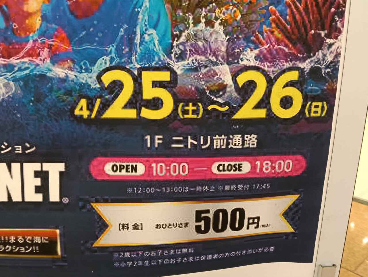 アピタ２６０４０４