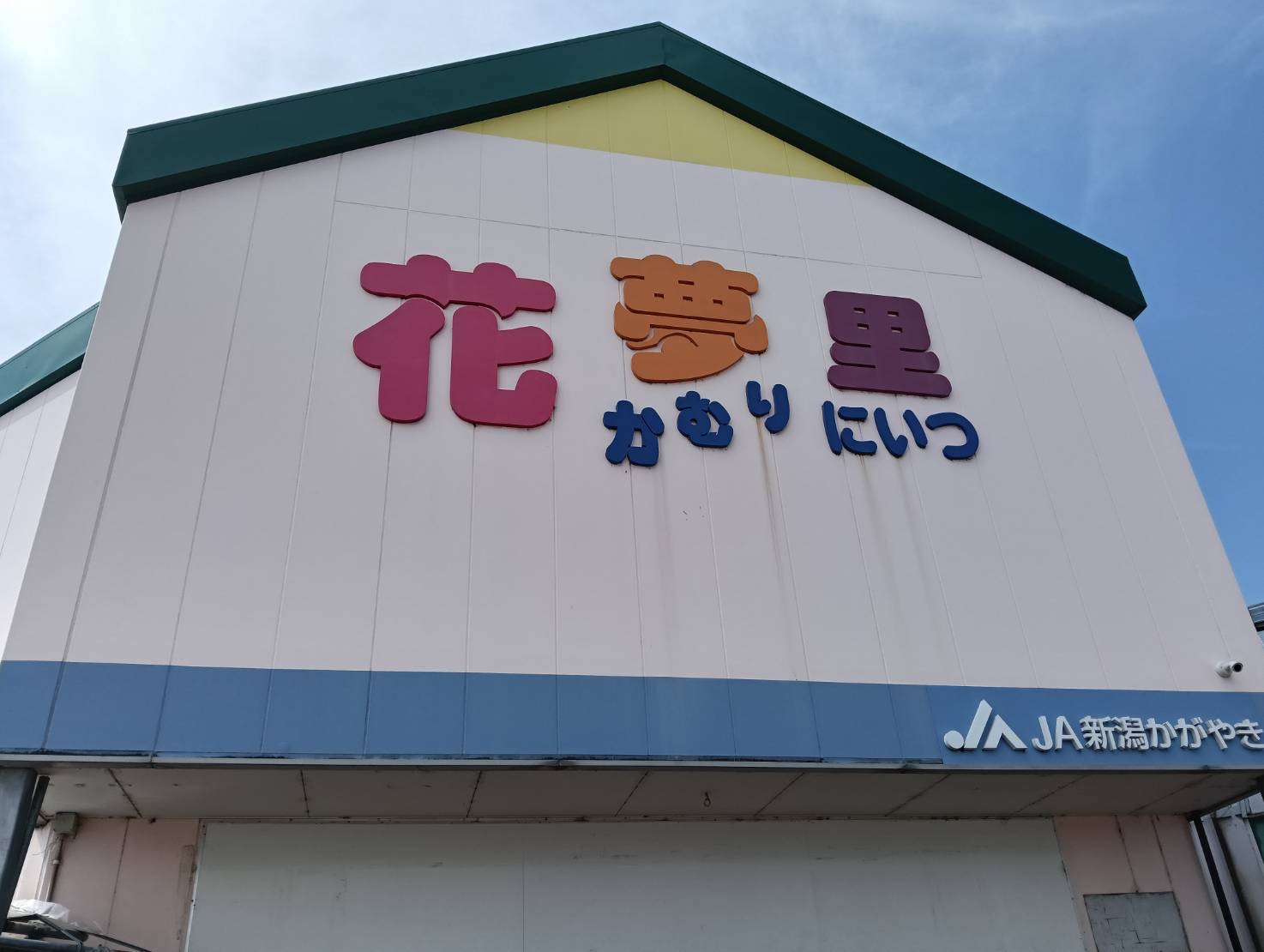 ジェラード小葉