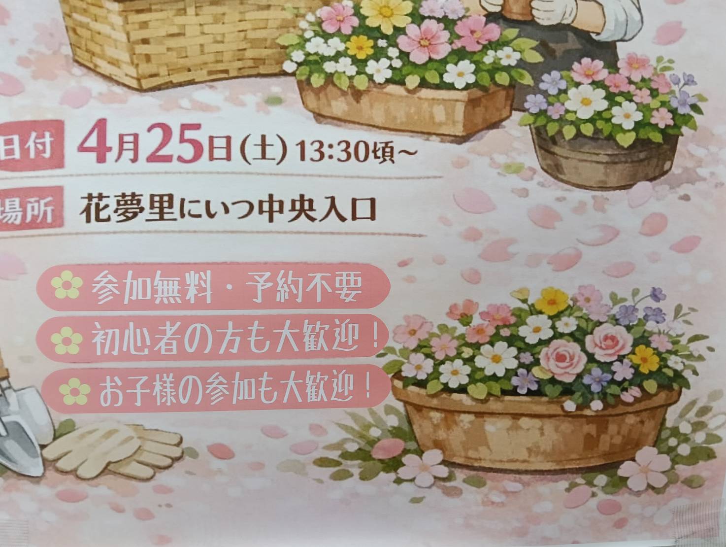 カムリイベント