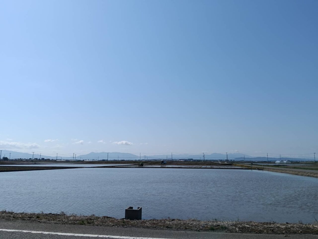 田植え26