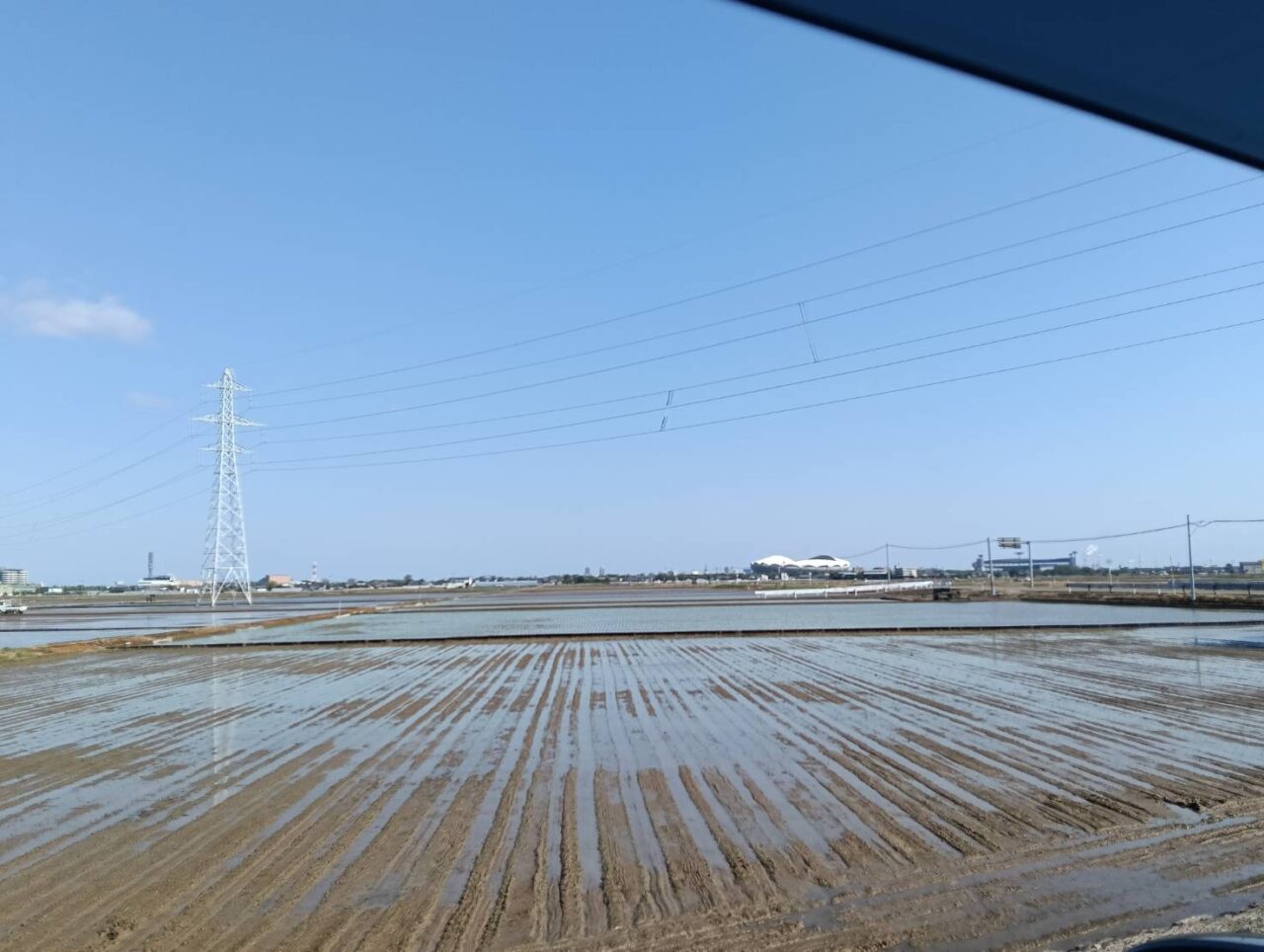田植え26
