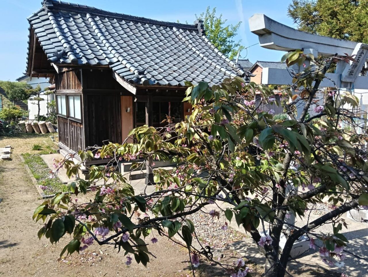 金玉２６０５