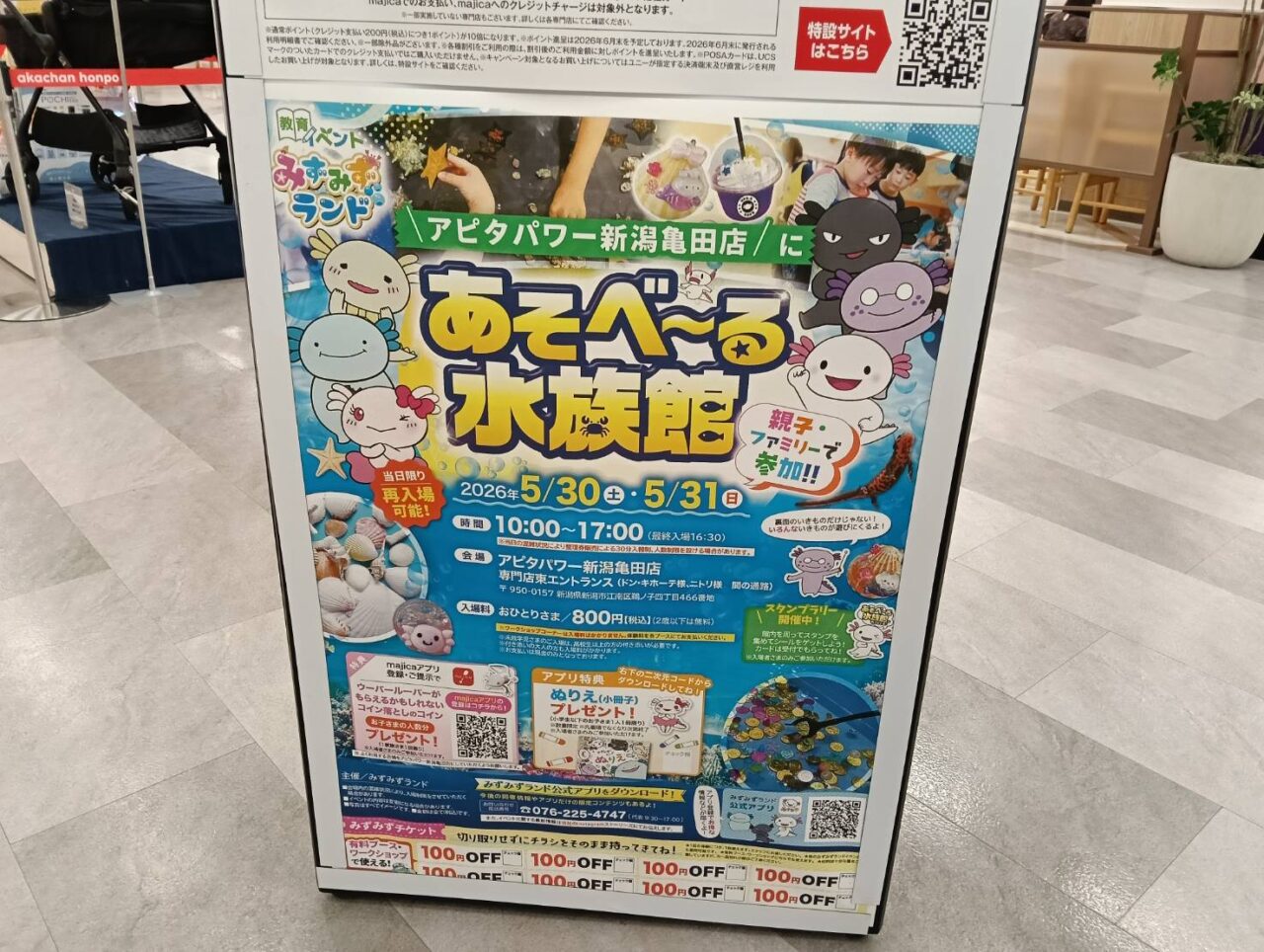 アピタ２６０５３０