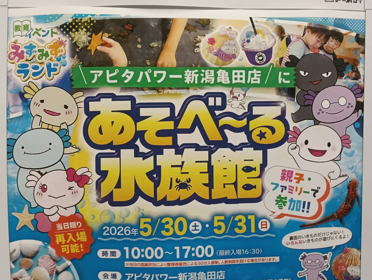 アピタ２６０５３０