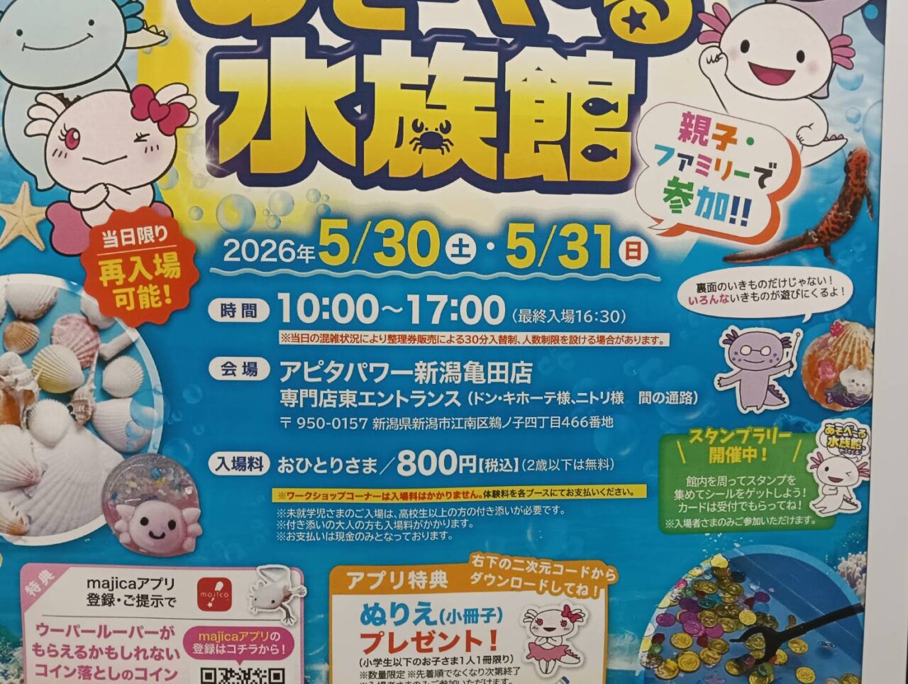 アピタ２６０５３０