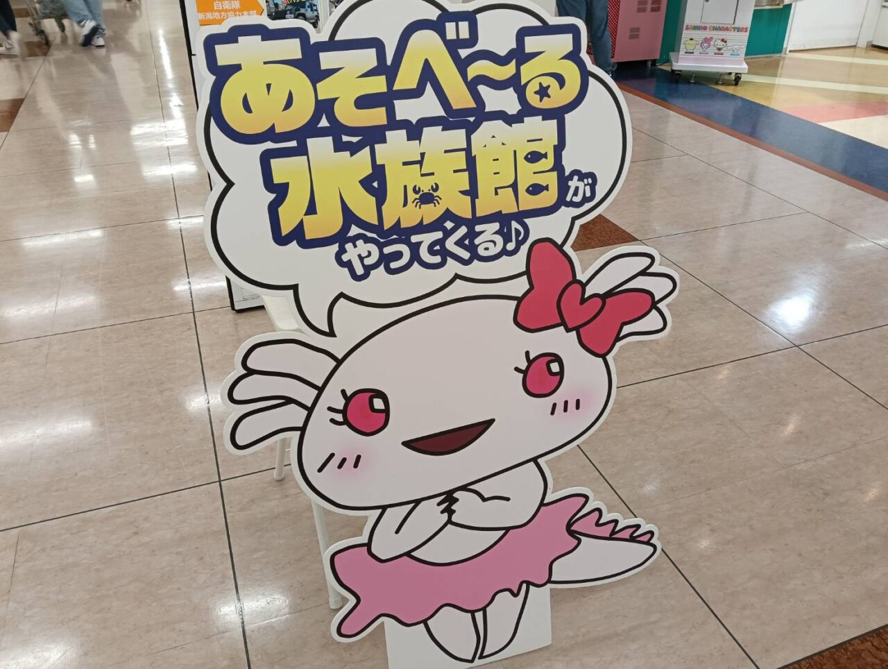 アピタ２６０５３０