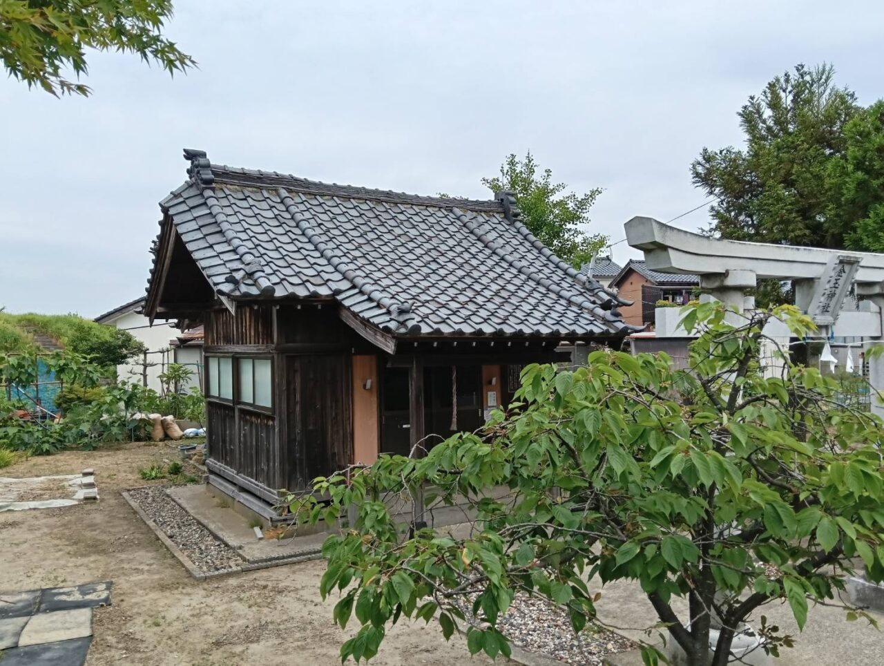金玉２６０６