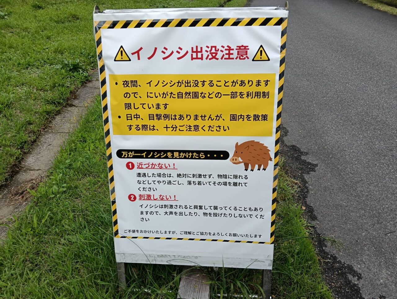 クマ26