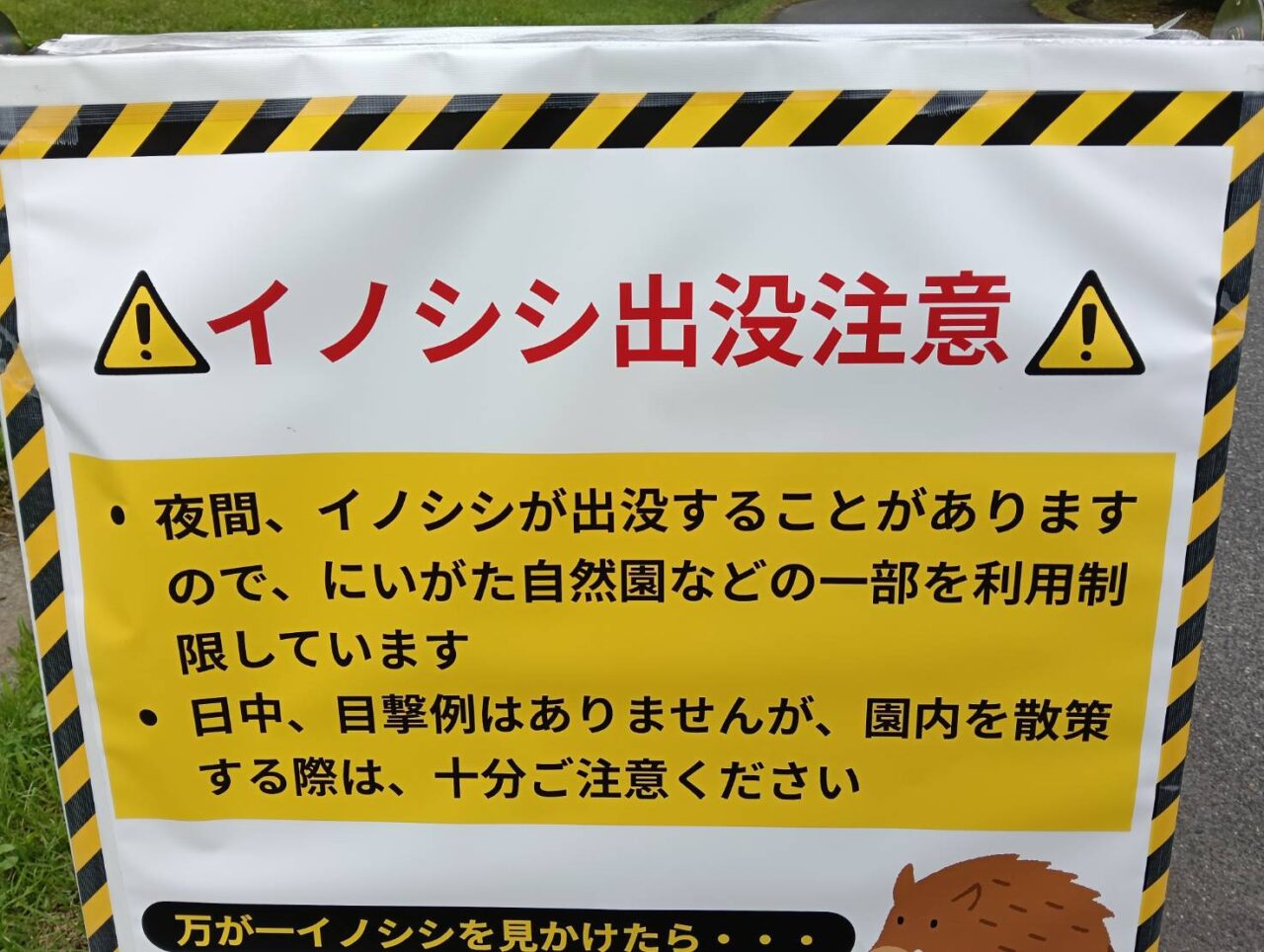 クマ26