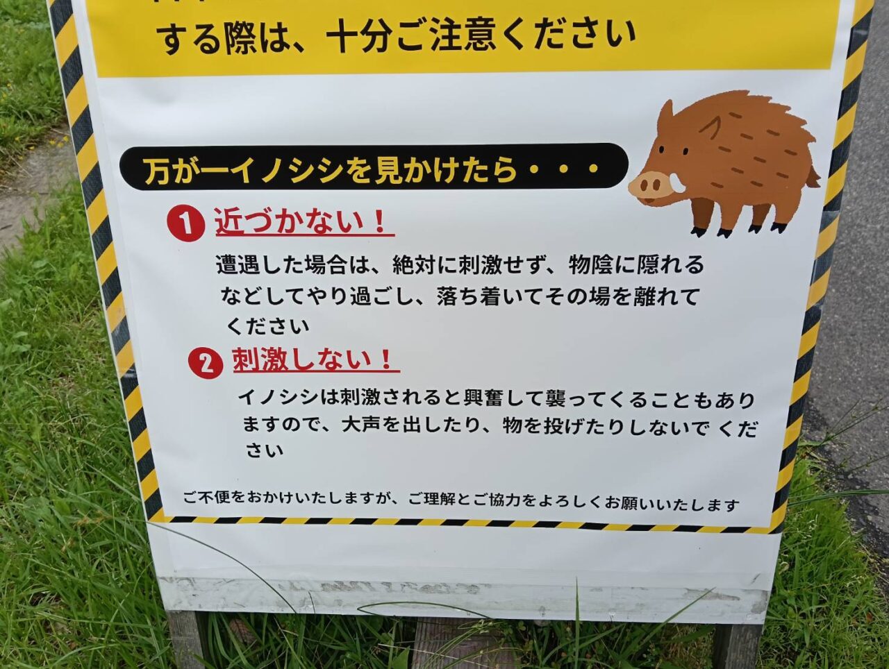クマ26