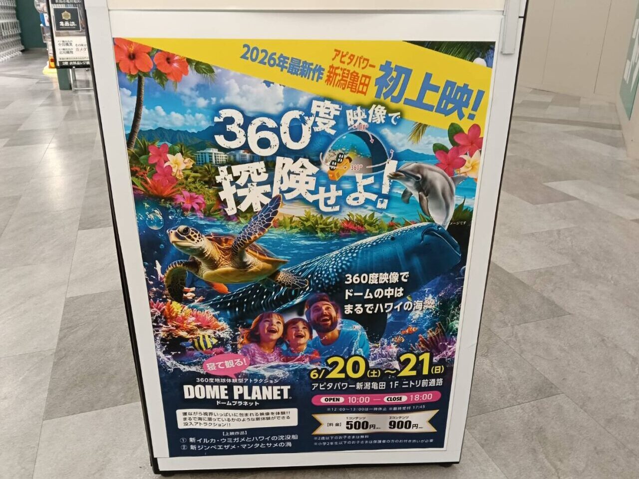 アピタ２６０６１９