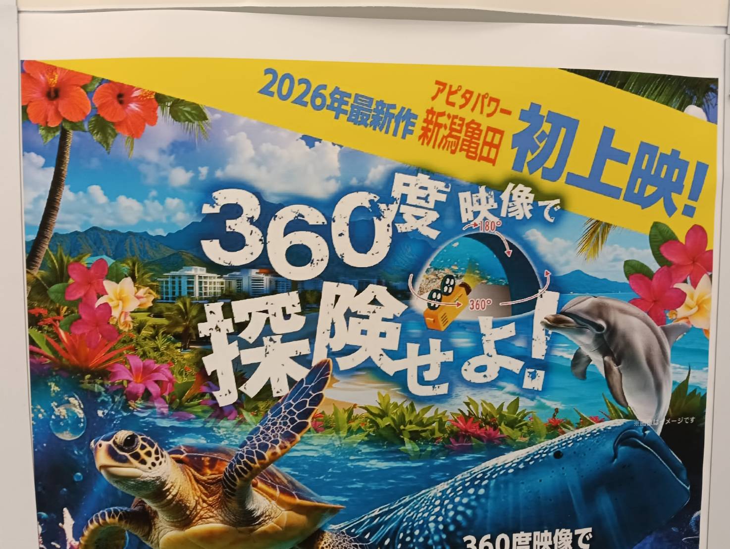 アピタ２６０６１９