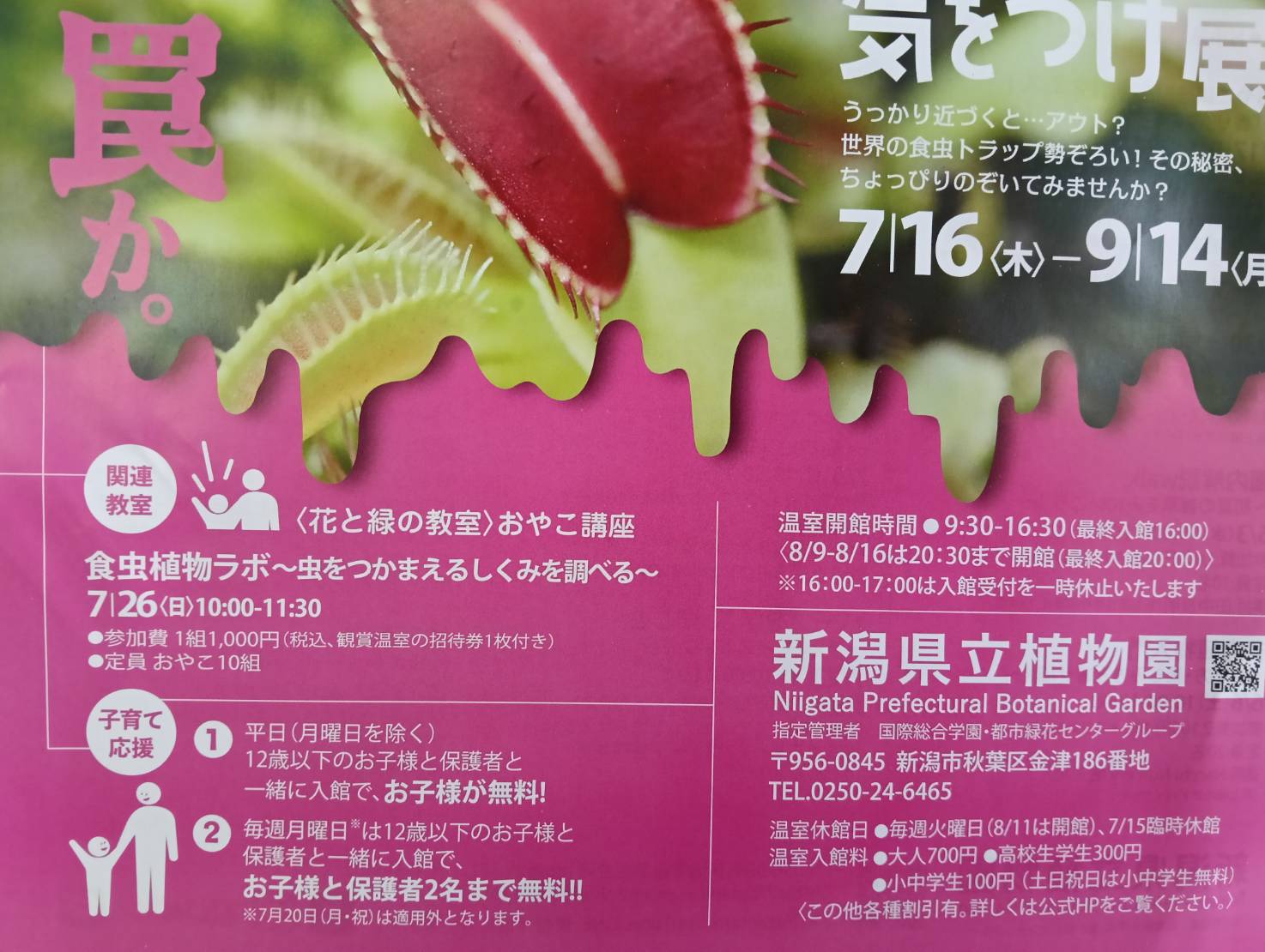 県立2606