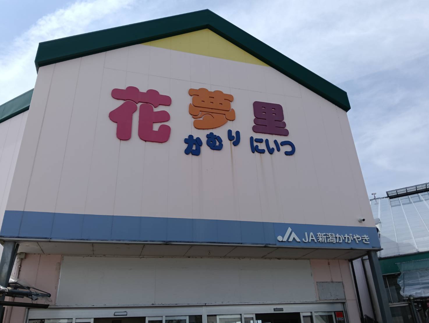 かむりかんよう