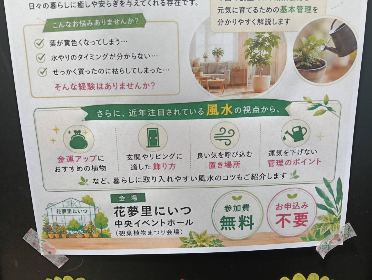 かむりかんよう