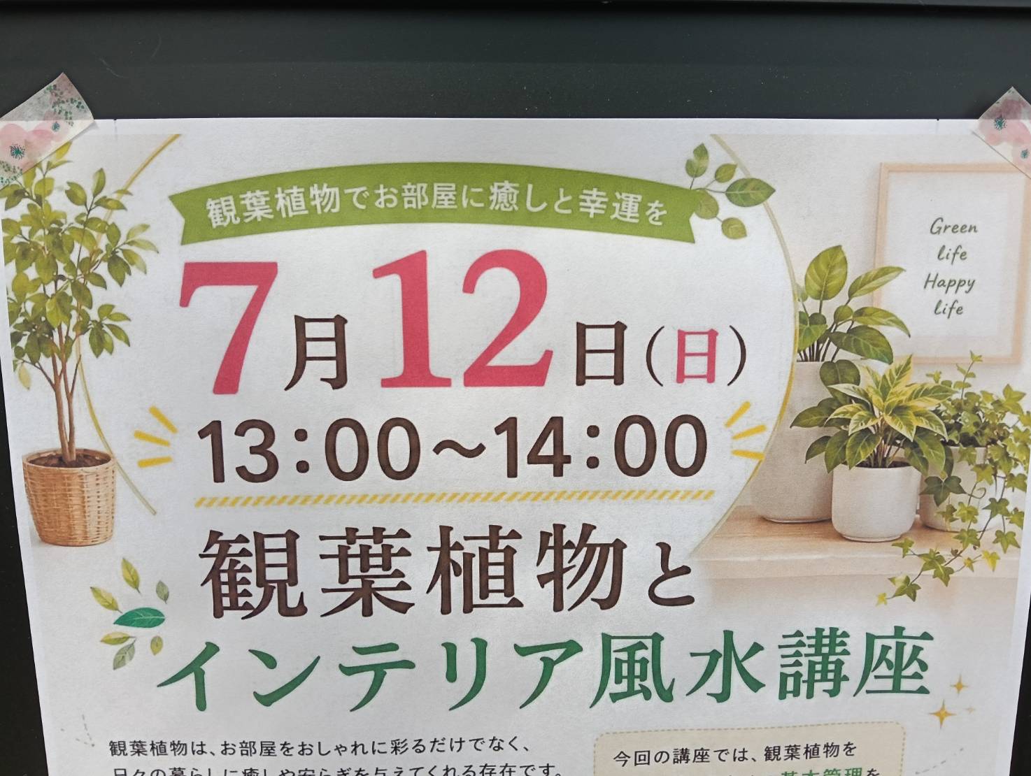 かむりかんよう