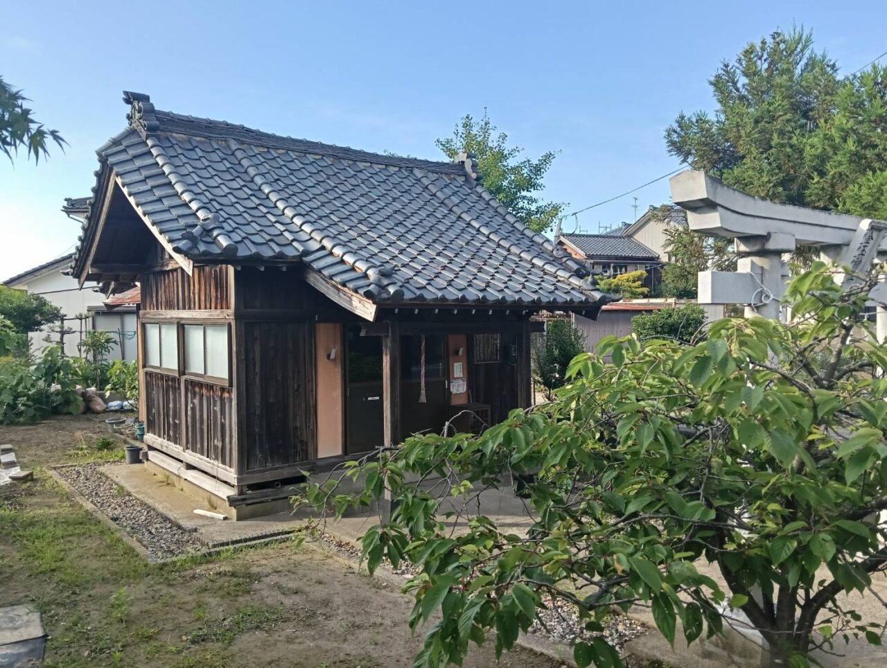 金玉2607
