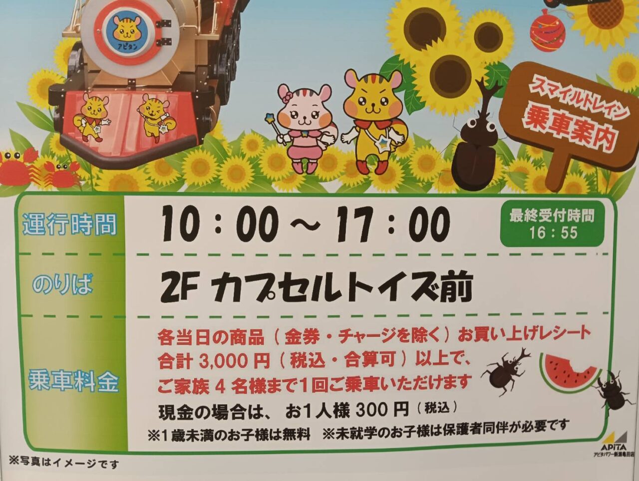 アピタ260729
