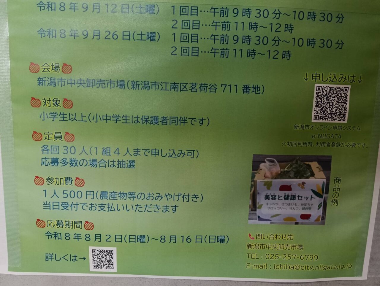 せりせいか２６