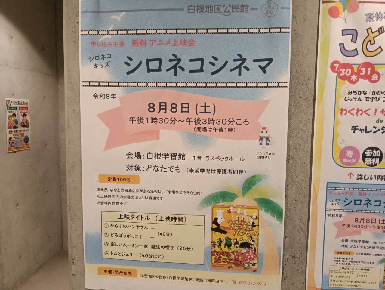白猫シネマ2608