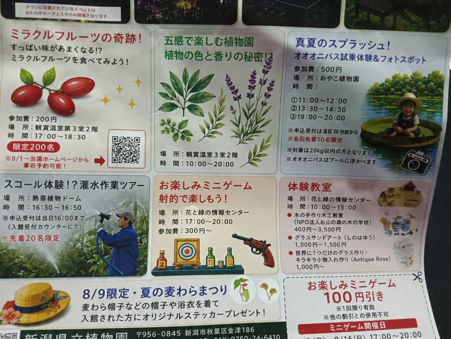 サマーフェスタ26