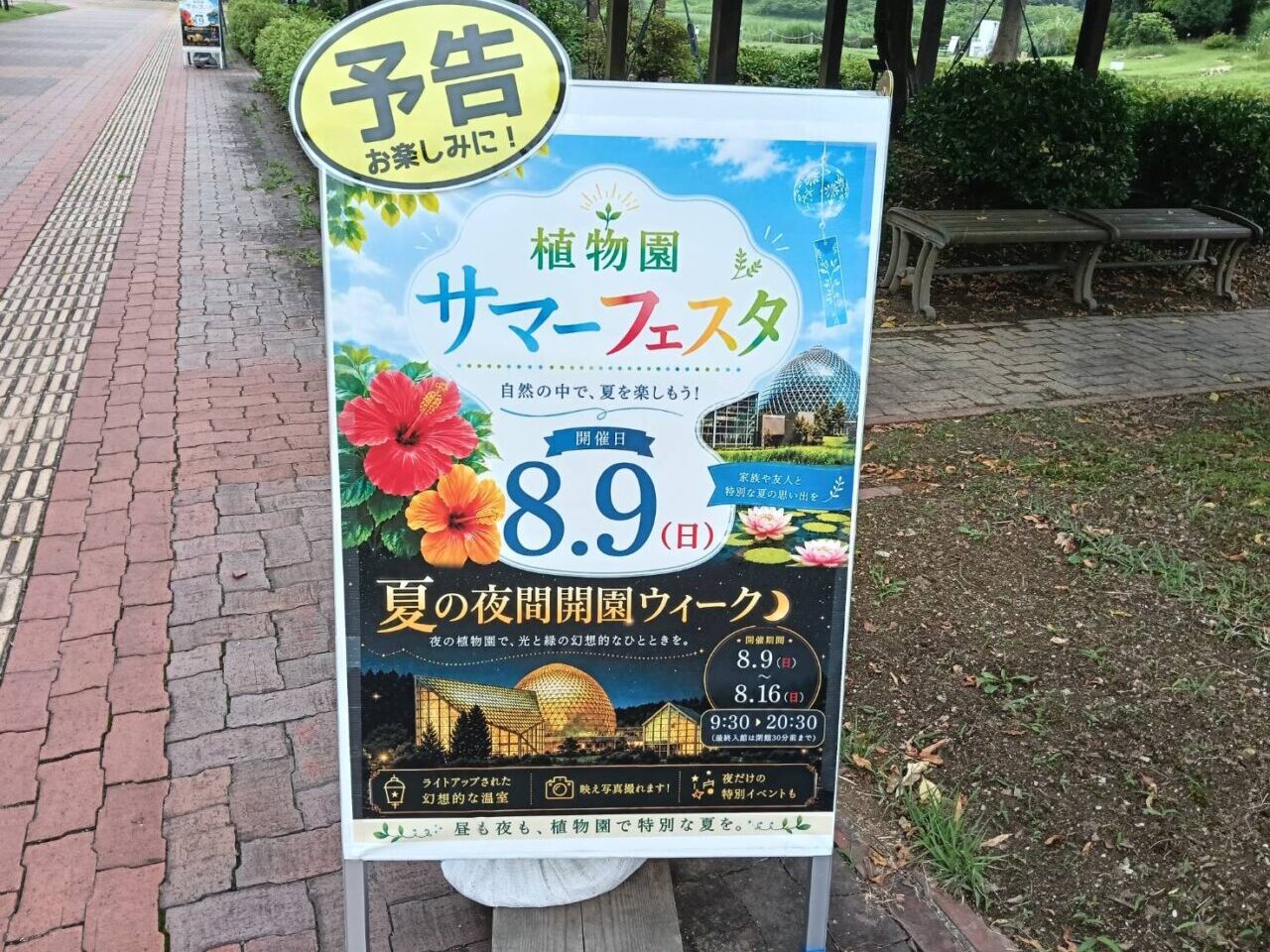 サマーフェスタ26