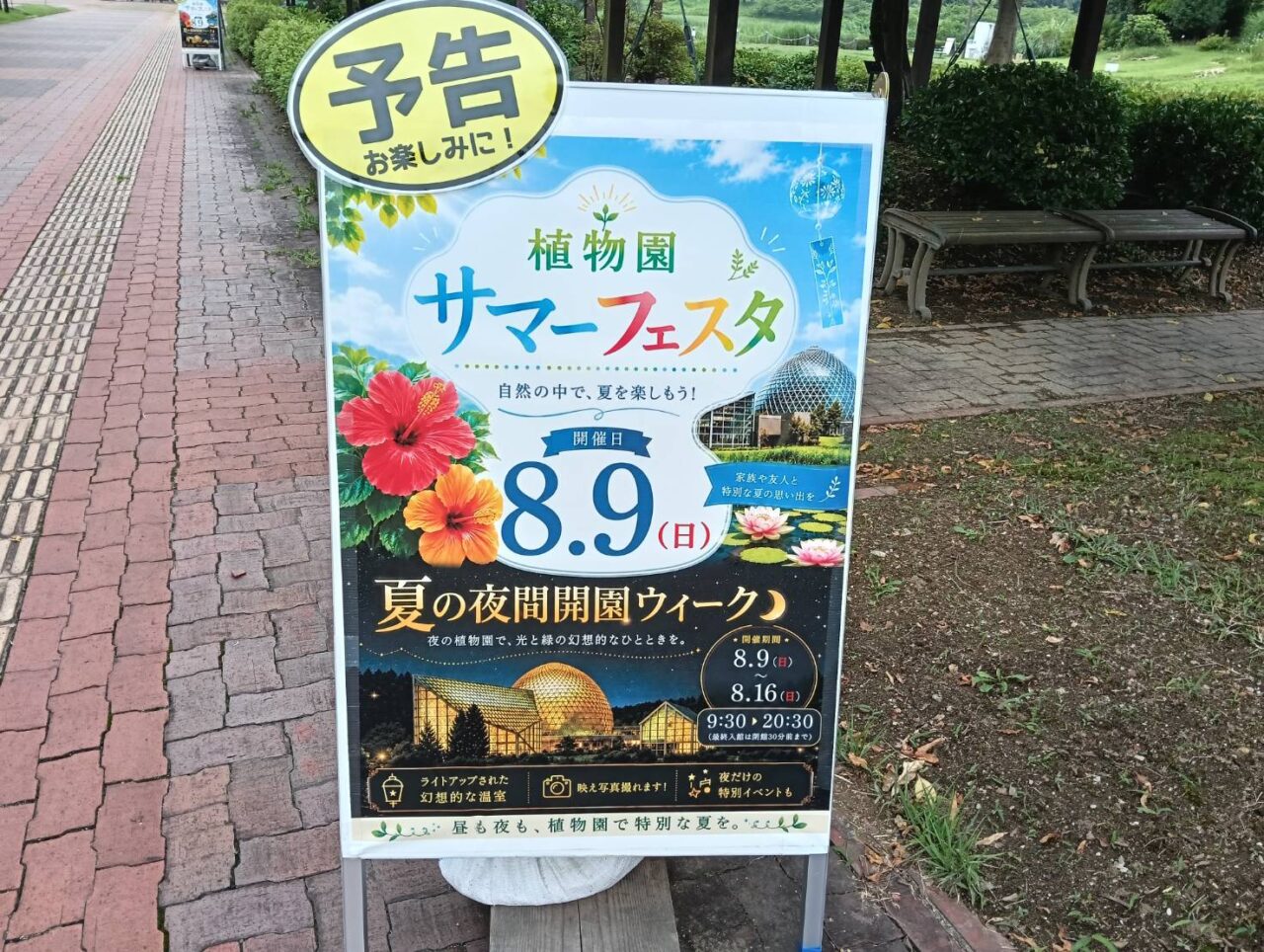 サマーフェスタ26