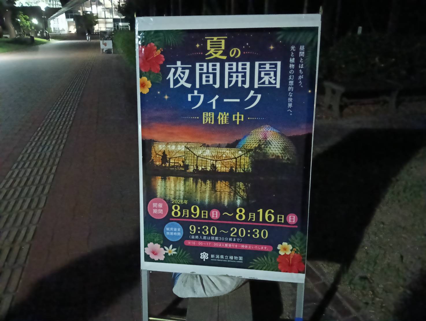 ナイトウィーク２６